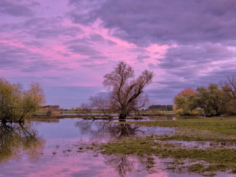 Flooded field at sunset