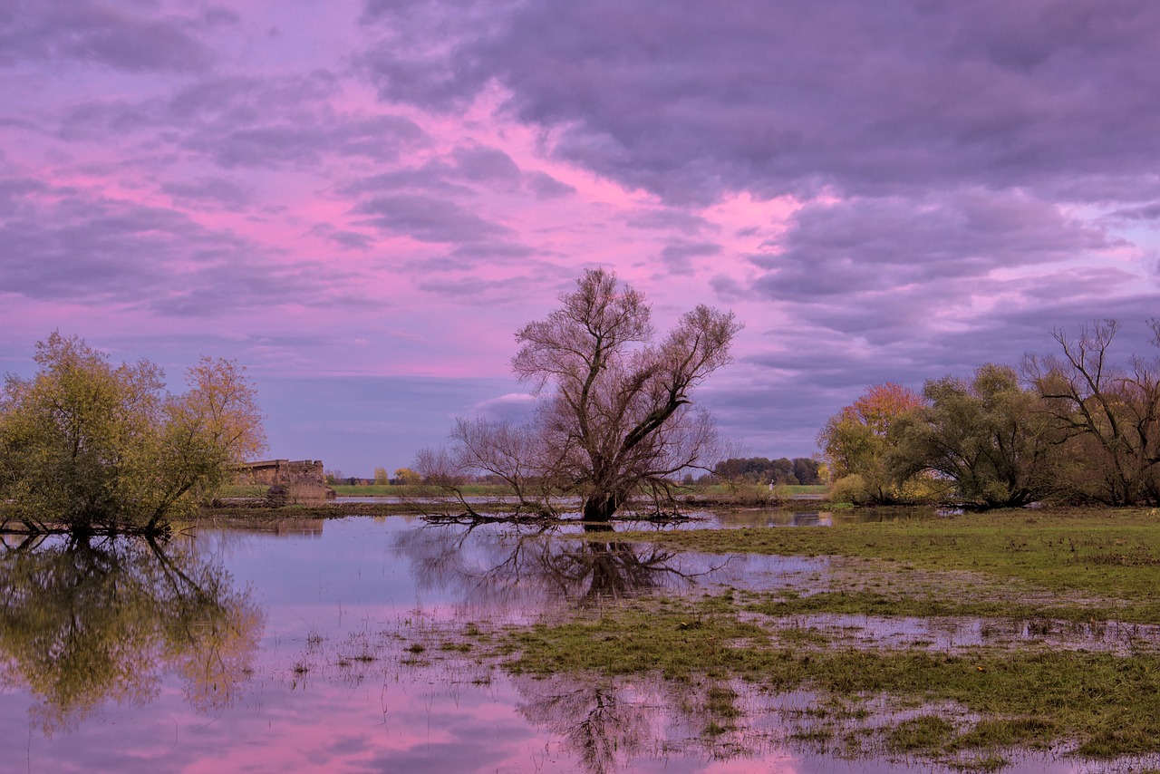 Flooded field at sunset